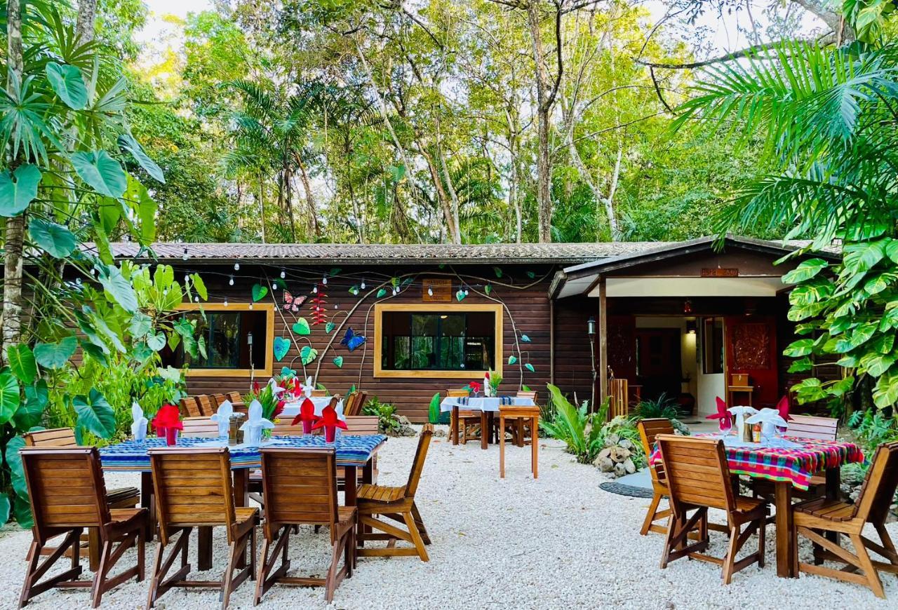 Mariposa Jungle Lodge San Ignacio Exterior foto